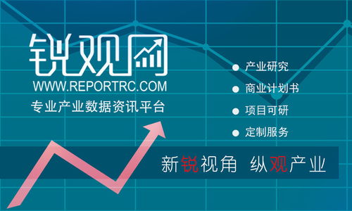 2023 2028年中国数字贸易全景调查及投资咨询报告